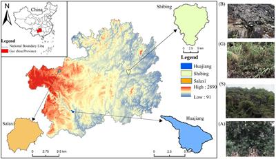 Cyanobacterial diversity of biological soil crusts and soil properties in karst desertification area